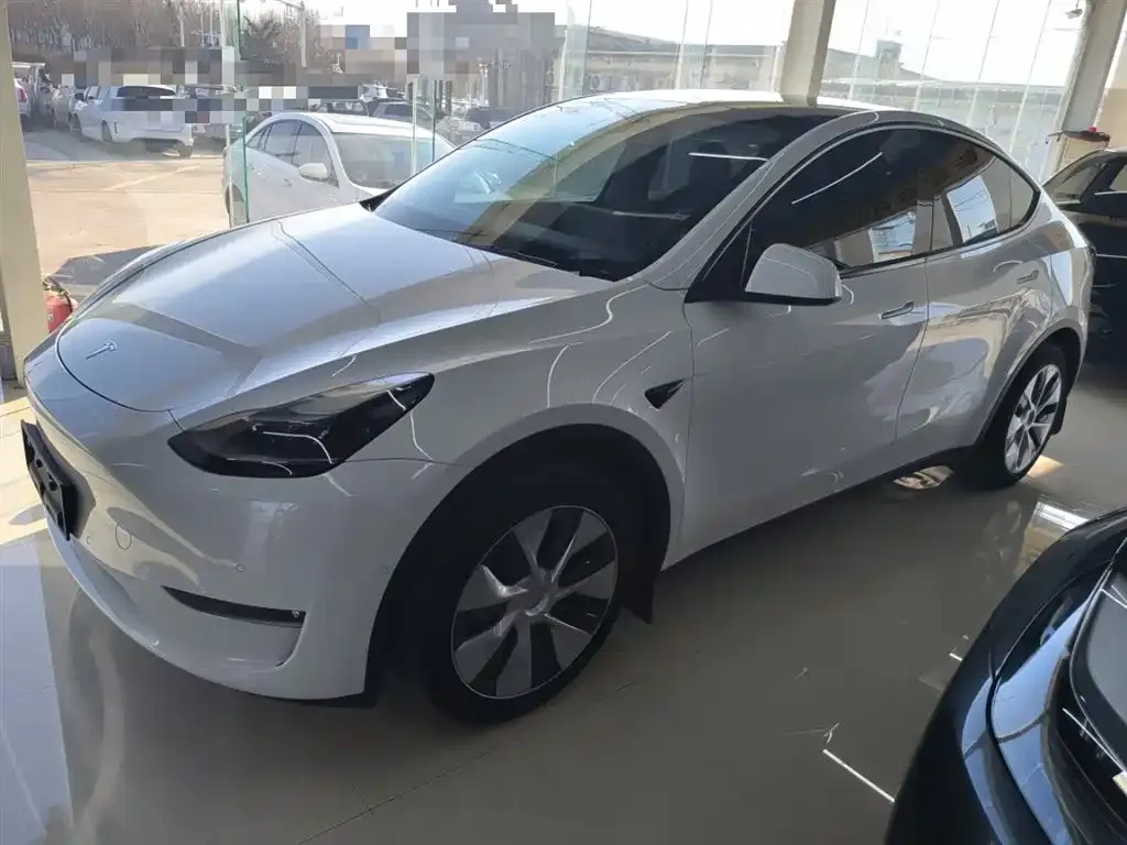 Tesla Model Y 2023 из CN, фото 6