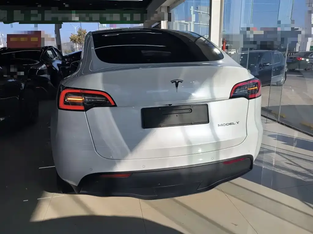 Tesla Model Y 2023 из CN, фото 5
