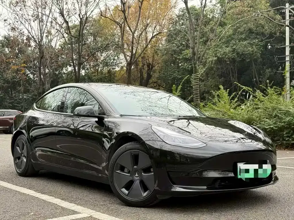 Tesla Model 3 2022 из CN, фото 3