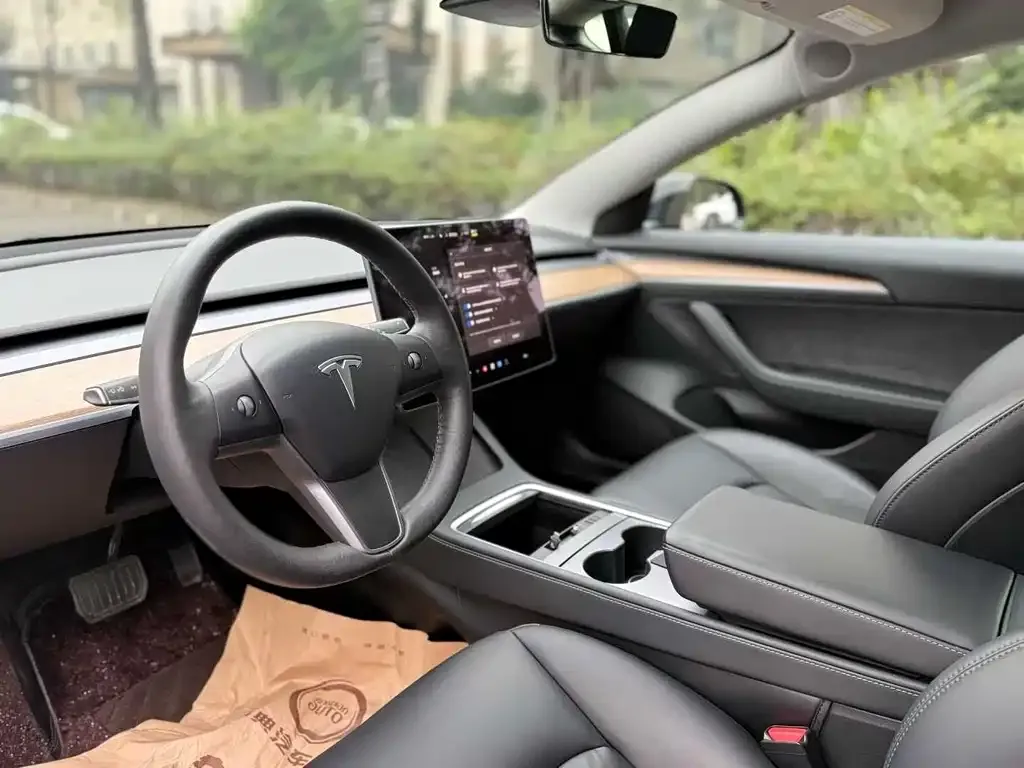 Tesla Model 3 2022 из CN, фото 4