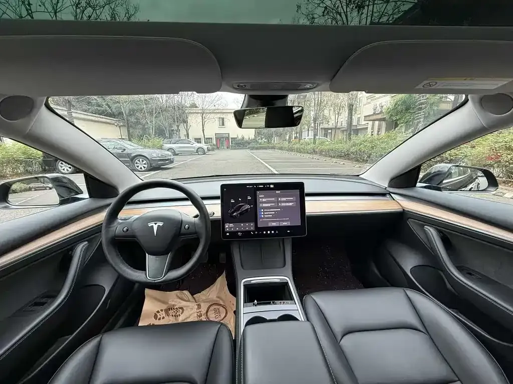 Tesla Model 3 2022 из CN, фото 2