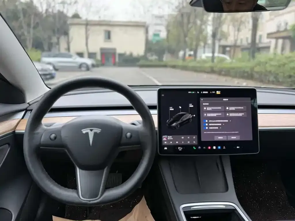 Tesla Model 3 2022 из CN, фото 6