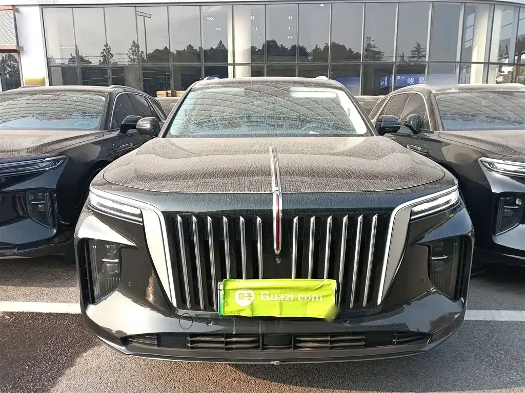 Hongqi E-HS9 2023 из CN, фото 9