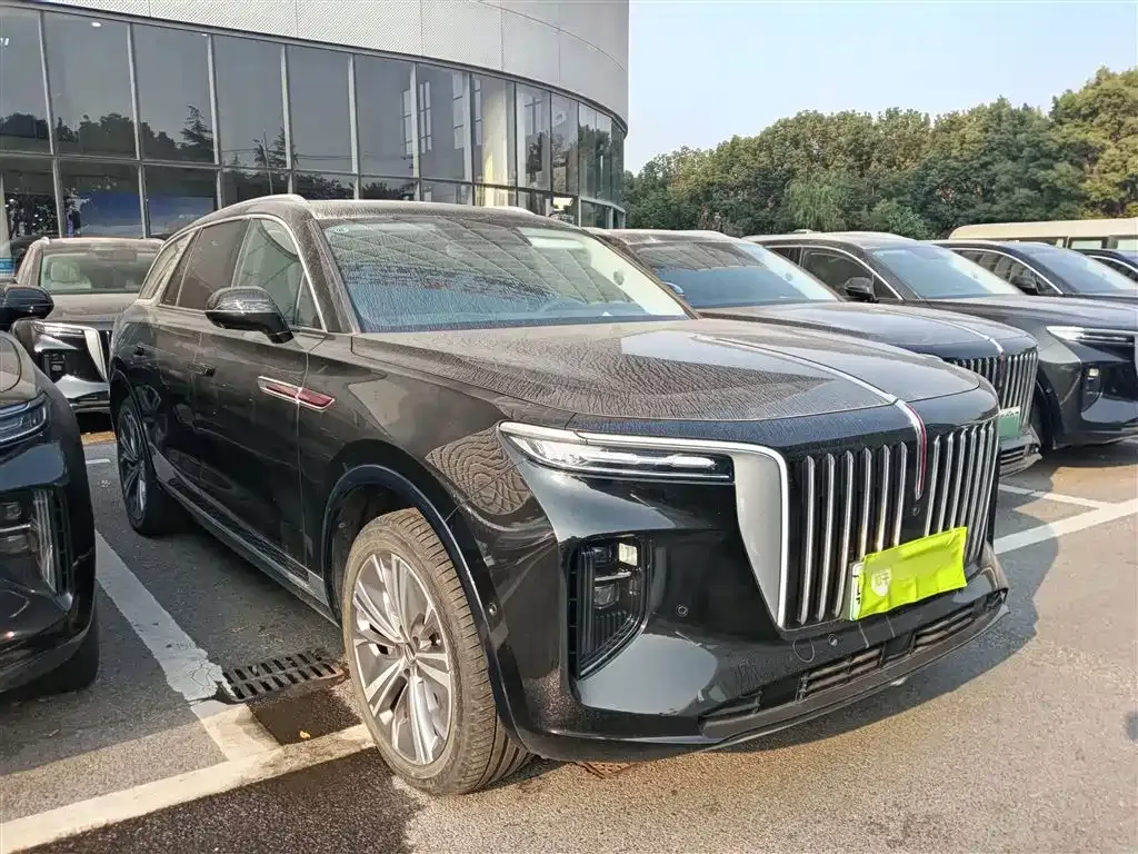 Hongqi E-HS9 2023 из CN, фото 10