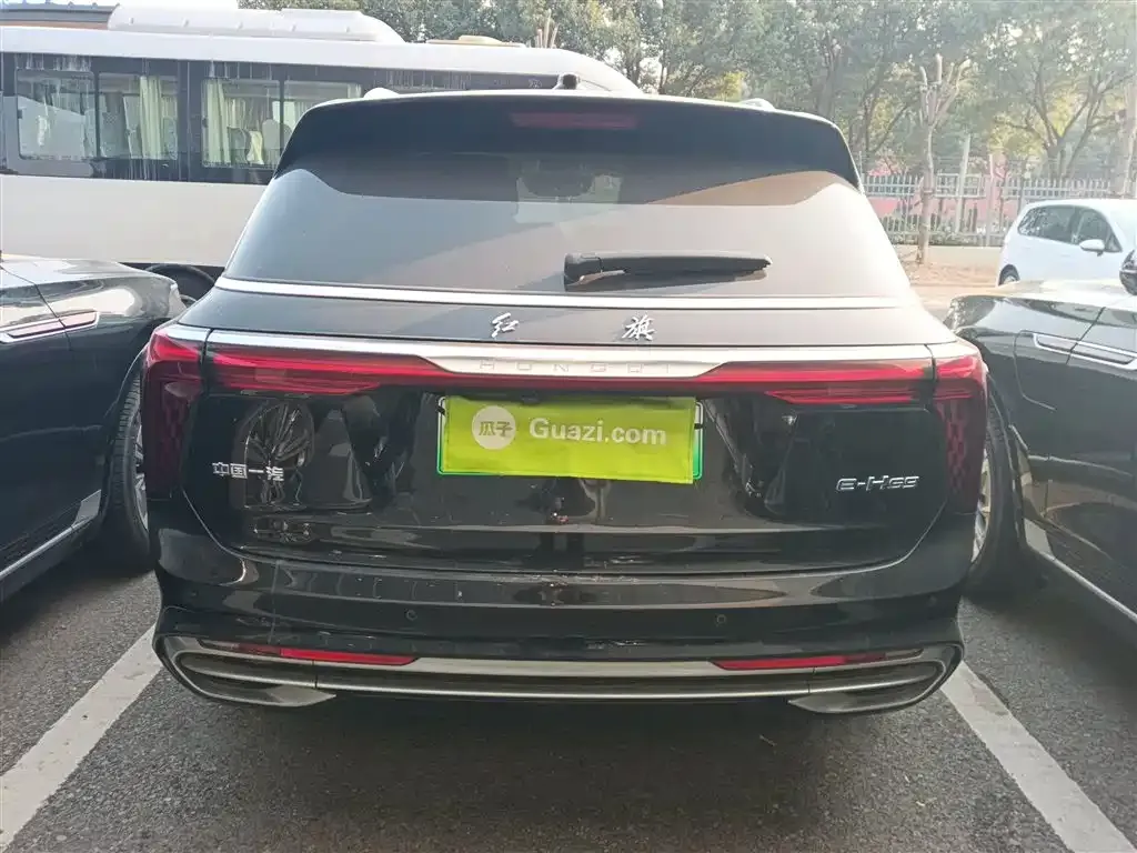 Hongqi E-HS9 2023 из CN, фото 8