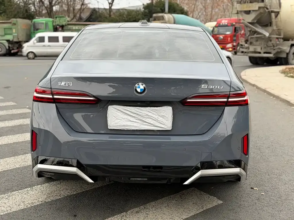 BMW 5 Series 2024 из CN, фото 3