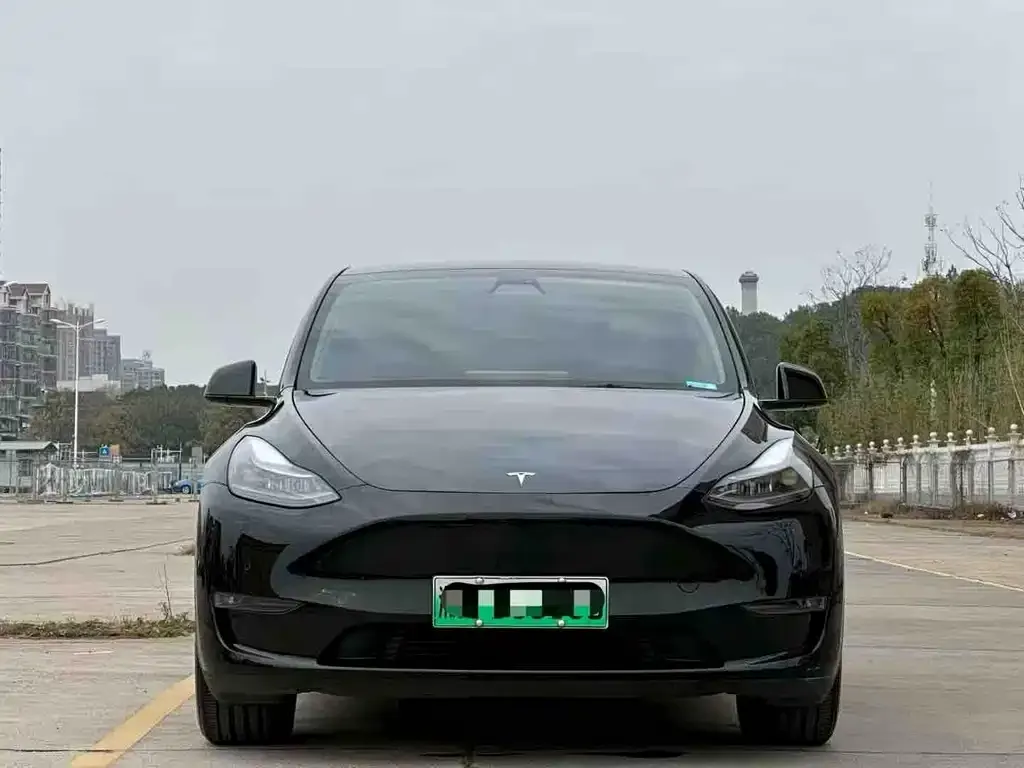 Tesla Model Y 2021 из CN, фото 3