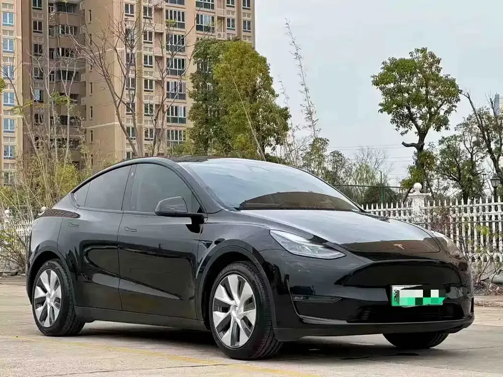 Tesla Model Y 2021 из CN, фото 2