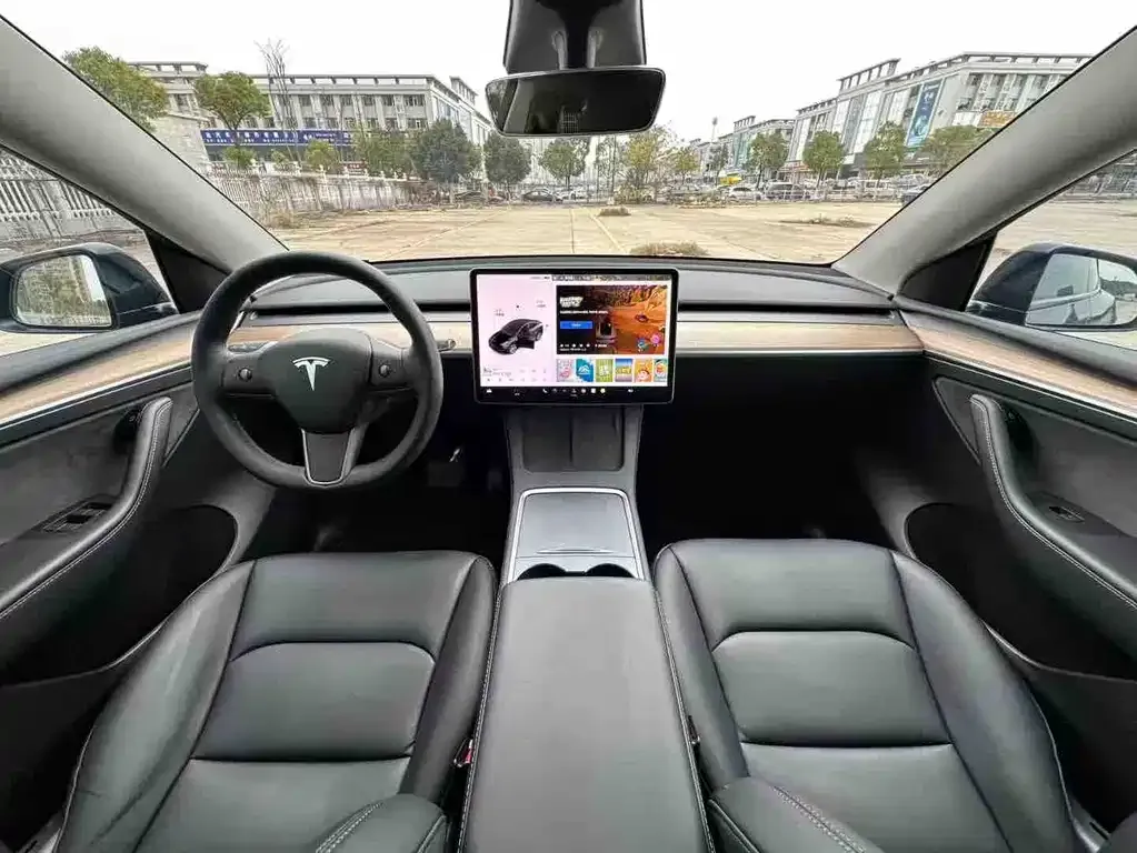 Tesla Model Y 2021 из CN, фото 4