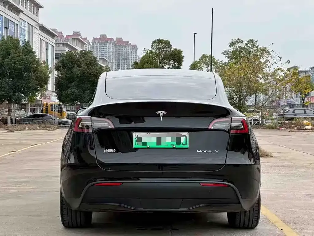 Tesla Model Y 2021 из CN, фото 8