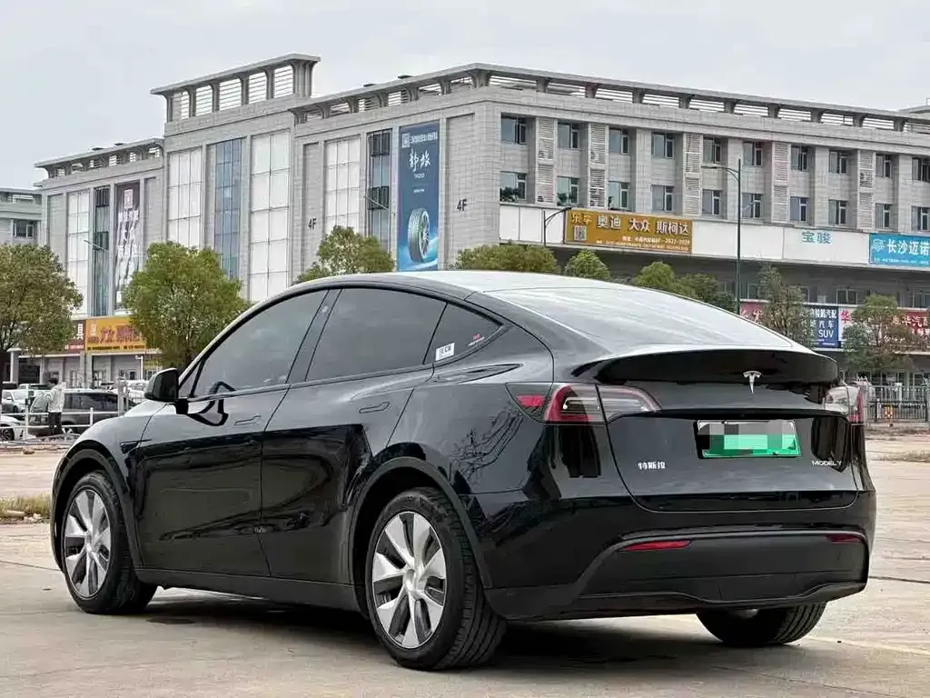 Tesla Model Y 2021 из CN, фото 9