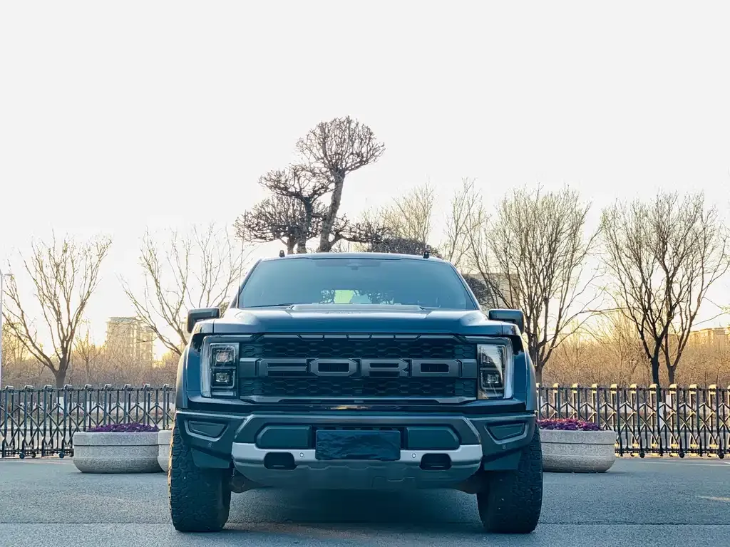Ford F-150 Raptor — фото 1