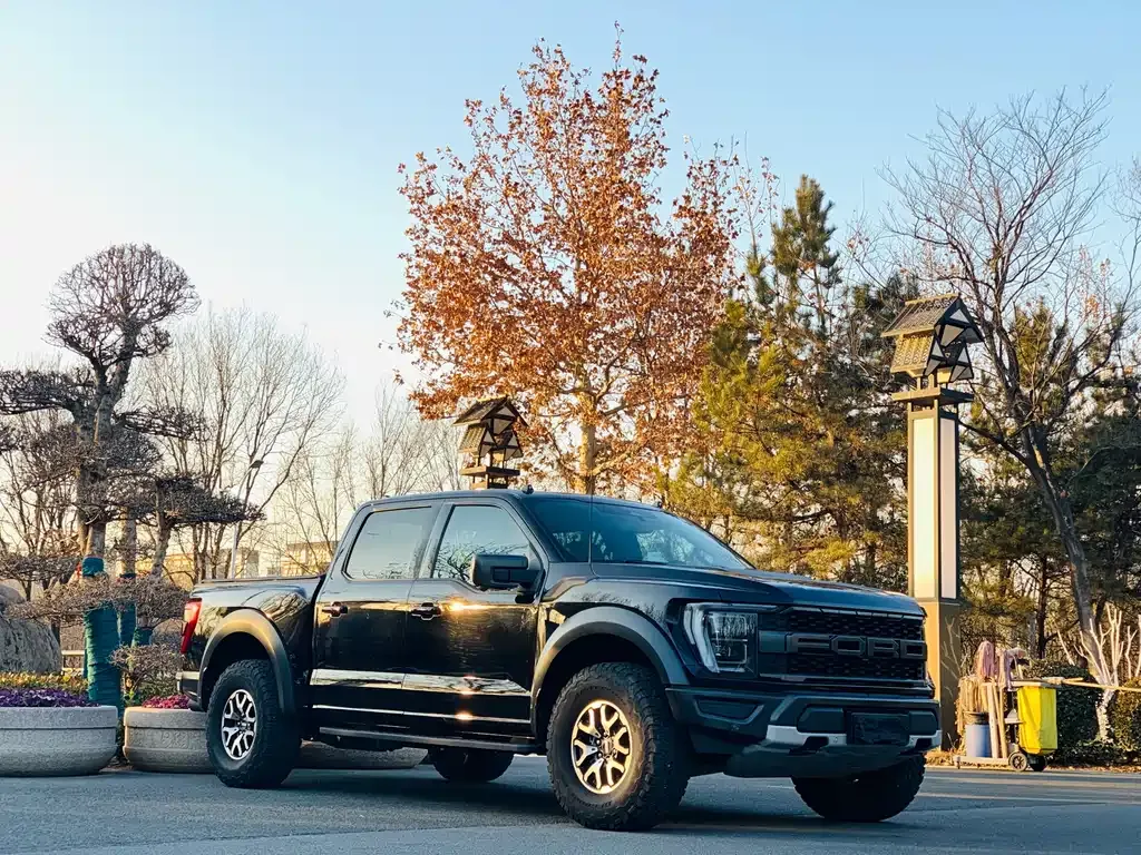 Ford F-150 Raptor — фото 2