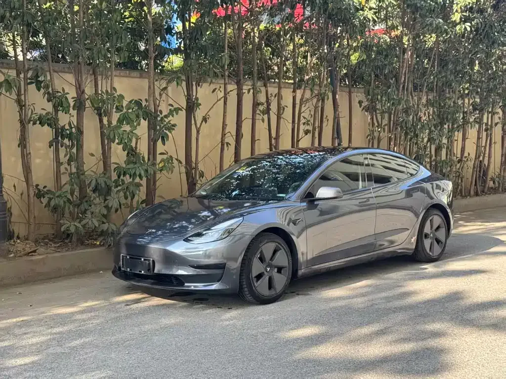 Tesla Model 3 2021 из CN, фото 1