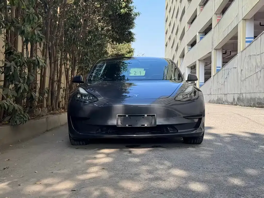 Tesla Model 3 2021 из CN, фото 2