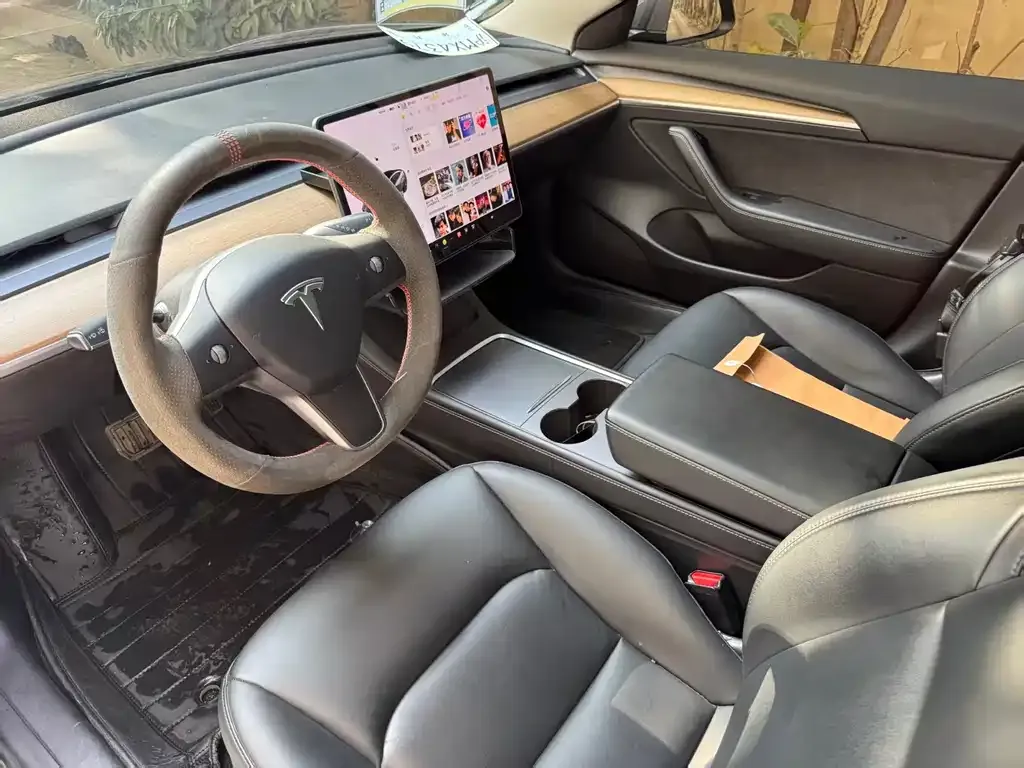 Tesla Model 3 2021 из CN, фото 3