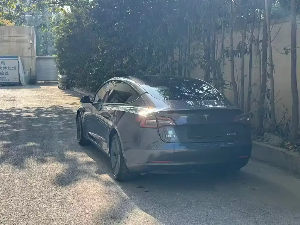 Tesla Model 3 2021 из CN, фото 6