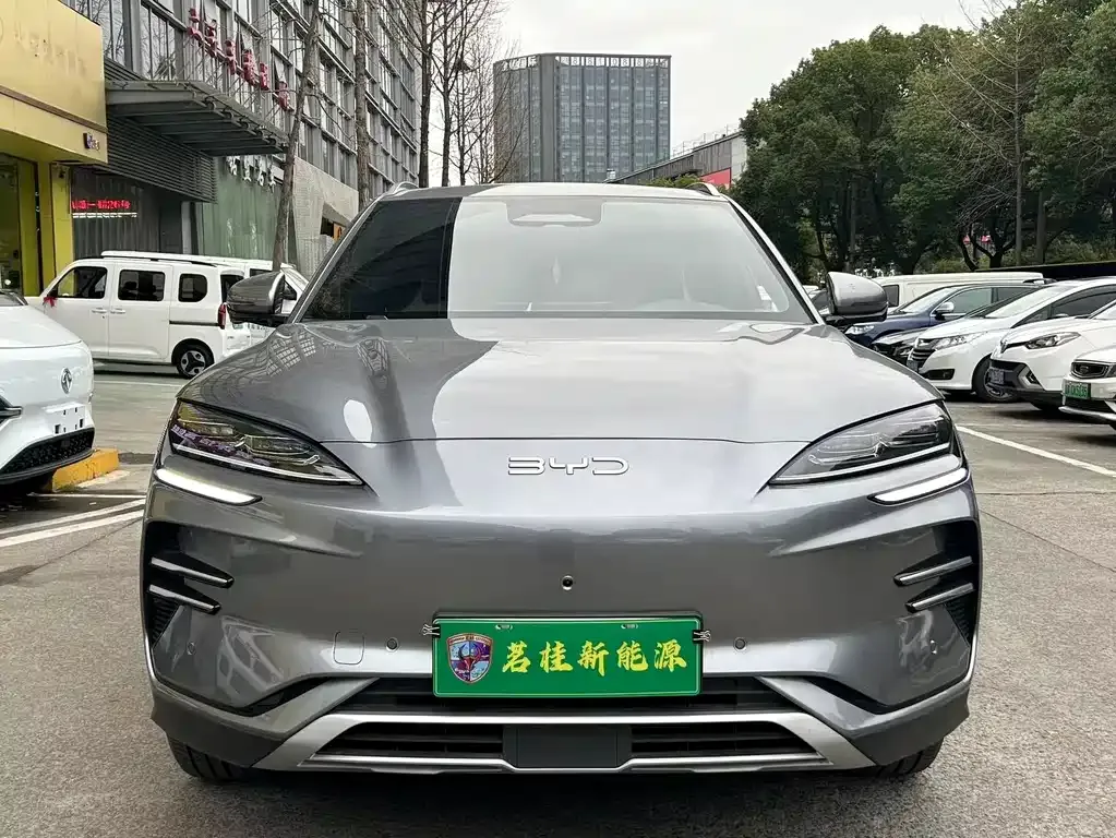 BYD PLUS New Energy 2025 из CN, фото 3