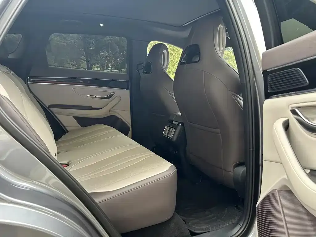 BYD PLUS New Energy 2025 из CN, фото 5