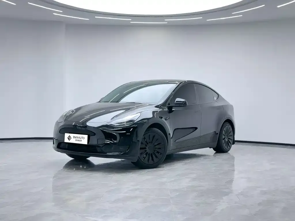 Tesla Model Y 2023 из CN, фото 1