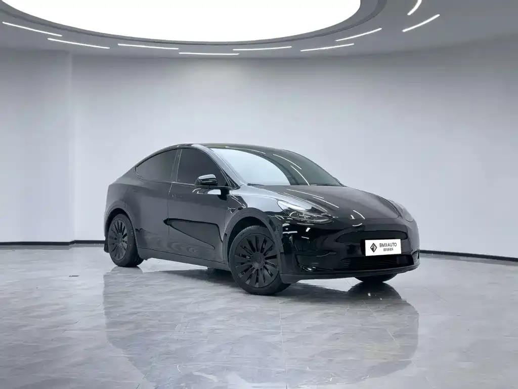 Tesla Model Y 2023 из CN, фото 2