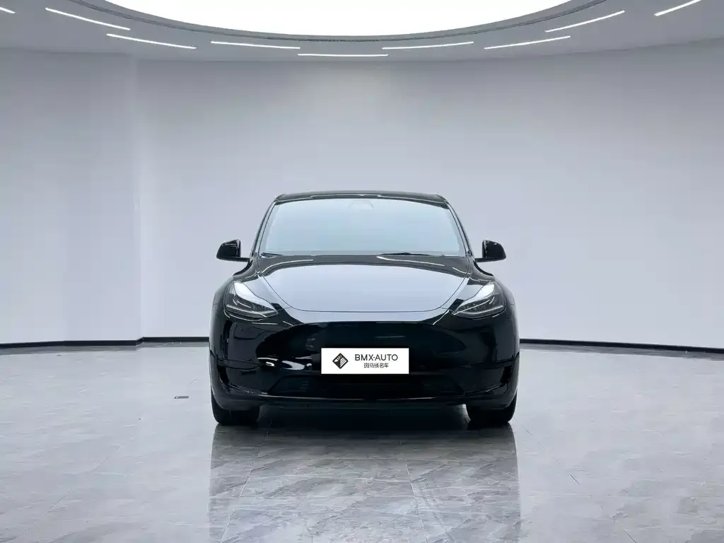 Tesla Model Y 2023 из CN, фото 3