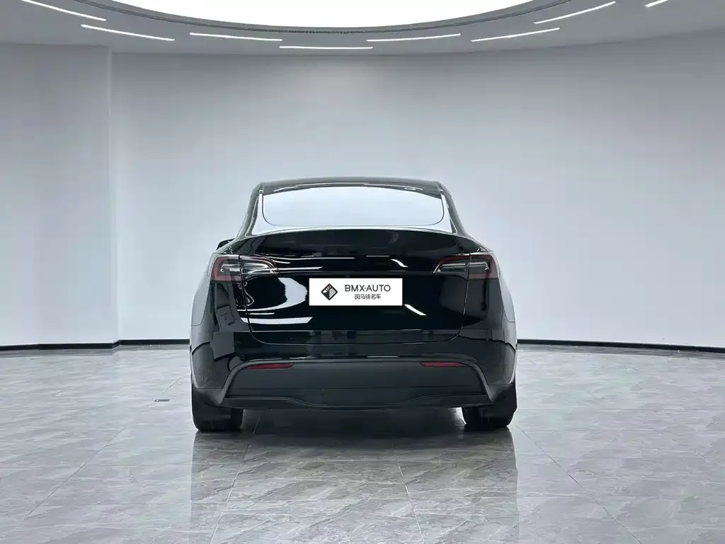 Tesla Model Y 2023 из CN, фото 4