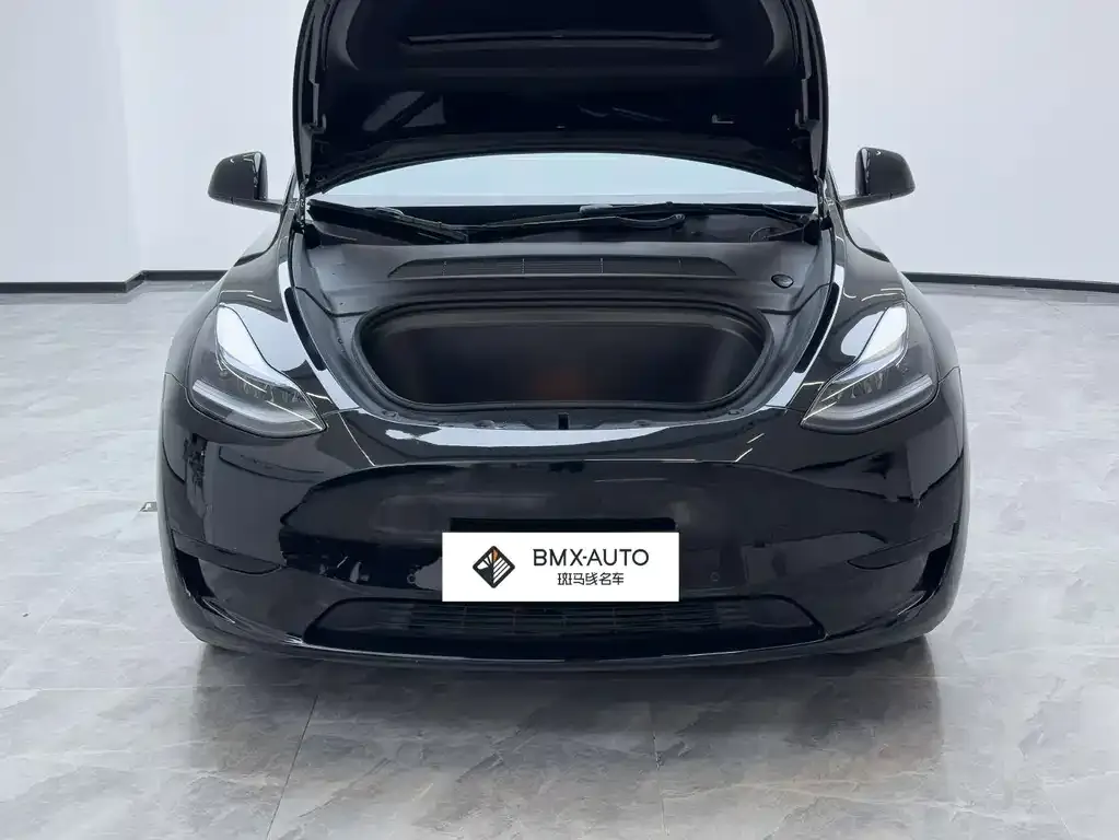 Tesla Model Y 2023 из CN, фото 7