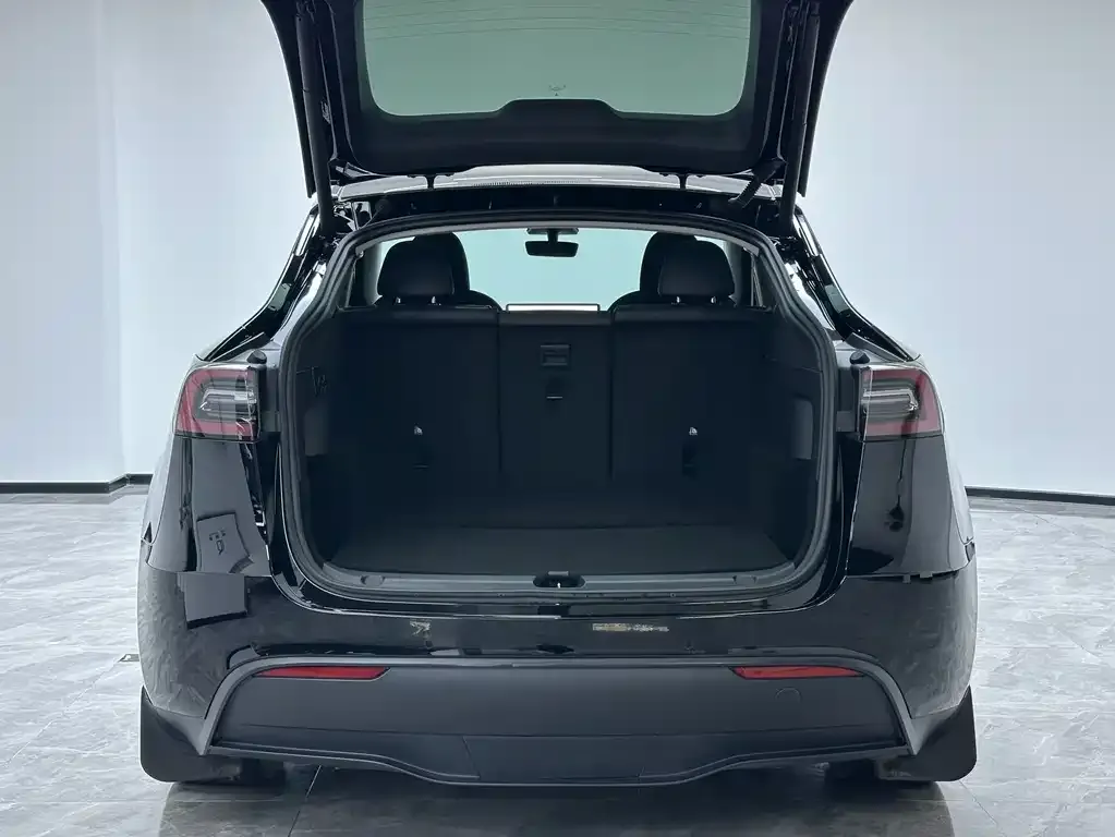 Tesla Model Y 2023 из CN, фото 8