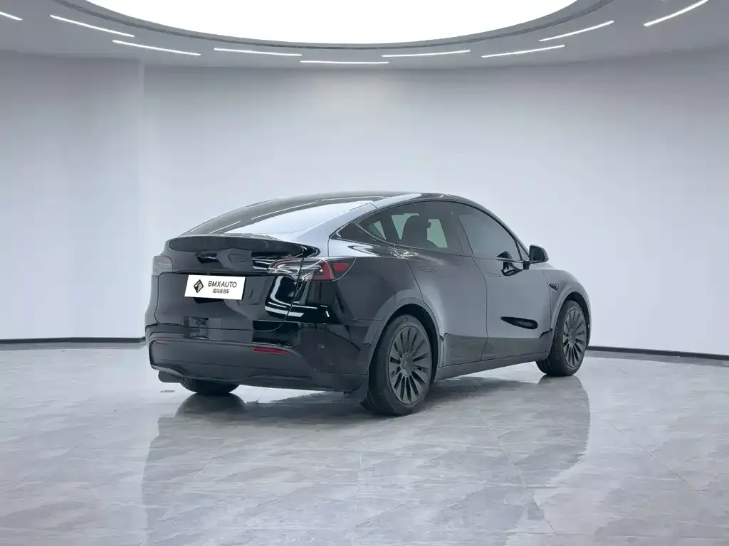 Tesla Model Y 2023 из CN, фото 9