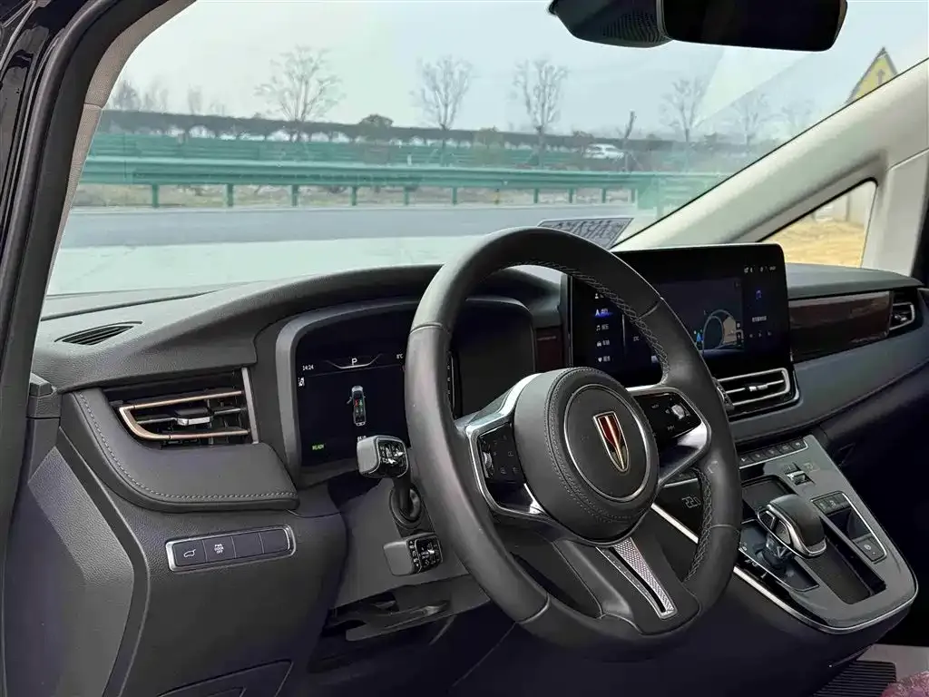 Hongqi HQ9 2023 из CN, фото 2