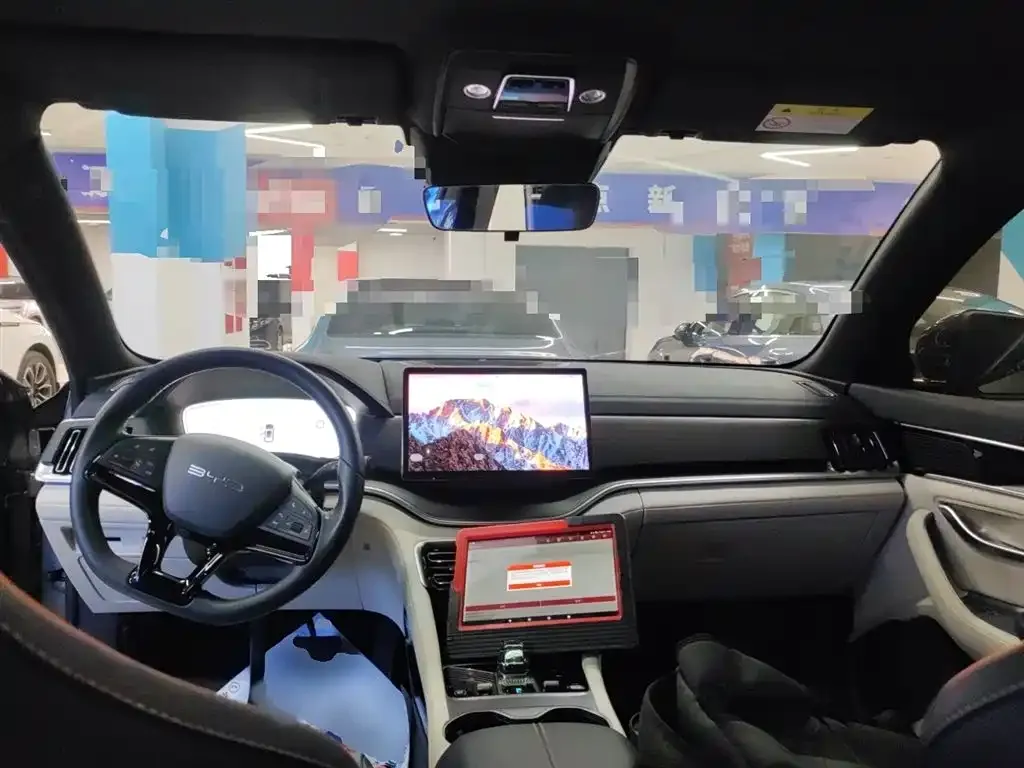 BYD PLUS New Energy — фото 10