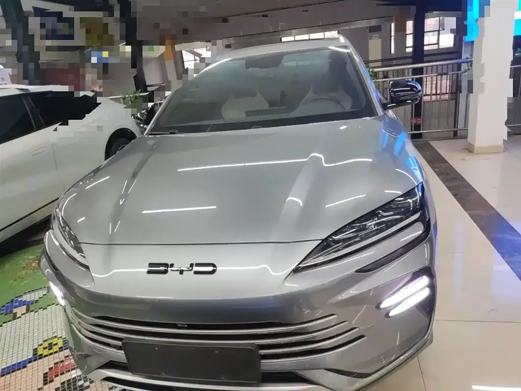 BYD PLUS New Energy — фото 8