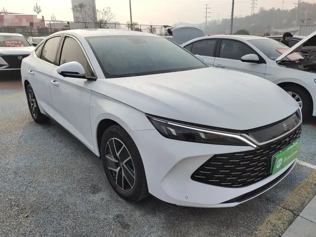 BYD Qin L 2024 из CN, фото 4