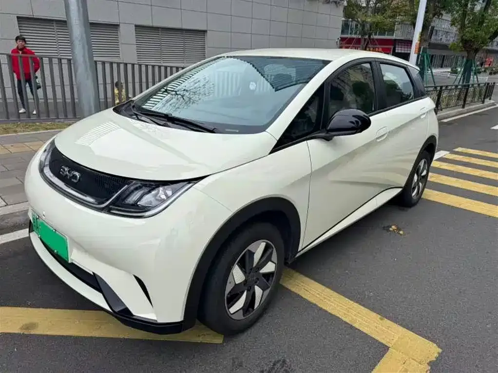 BYD Dolphin 2025 из CN, фото 1