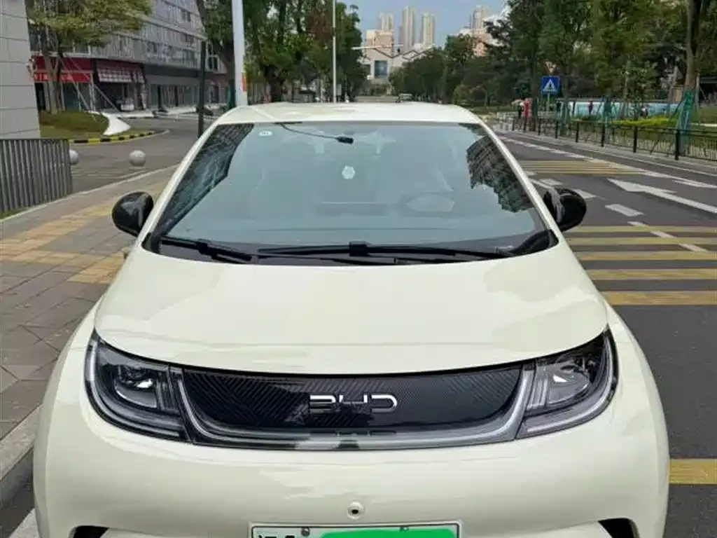 BYD Dolphin 2025 из CN, фото 5