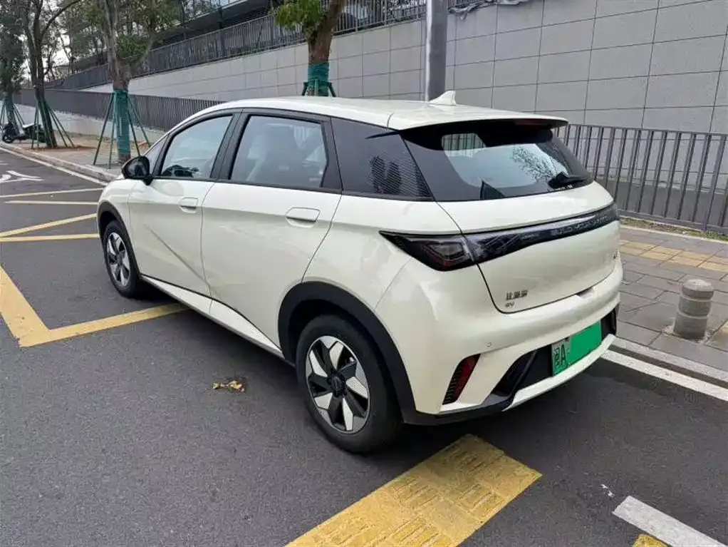 BYD Dolphin 2025 из CN, фото 9