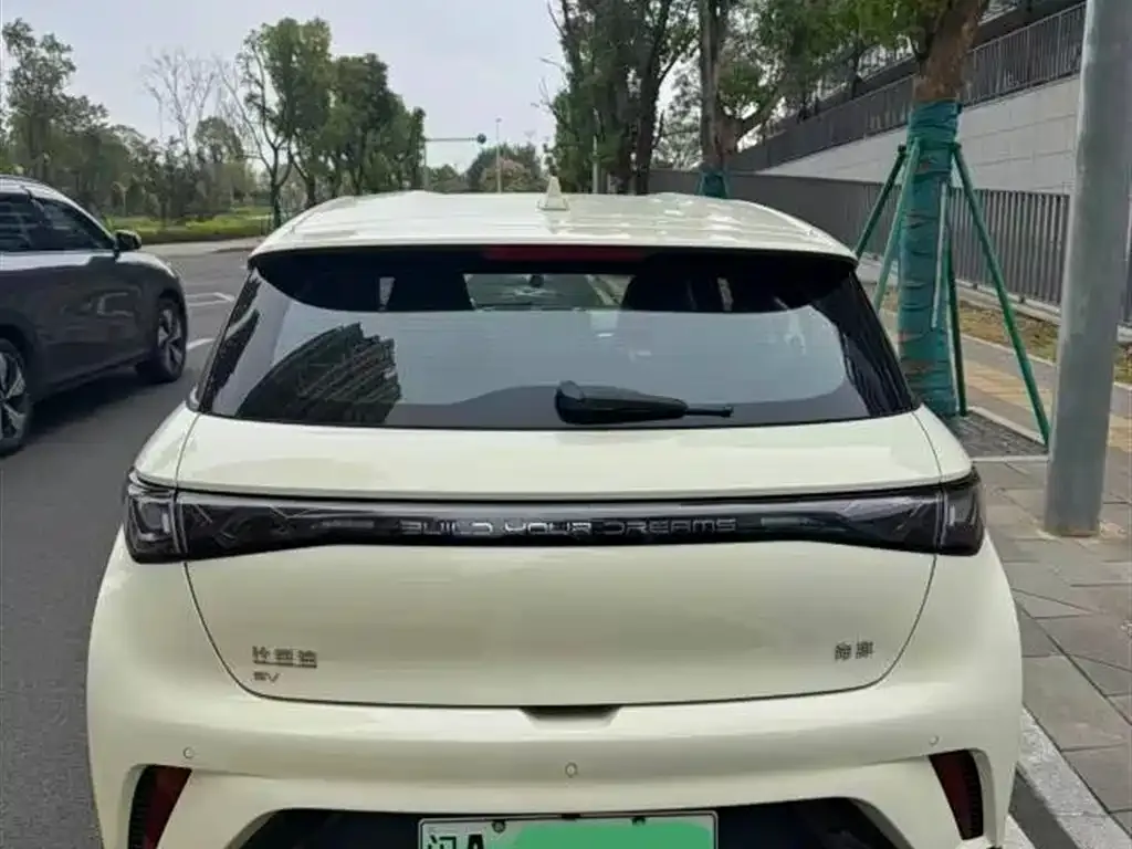 BYD Dolphin 2025 из CN, фото 4