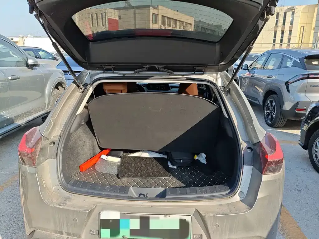 Lexus UX New Energy 2021 из CN, фото 10
