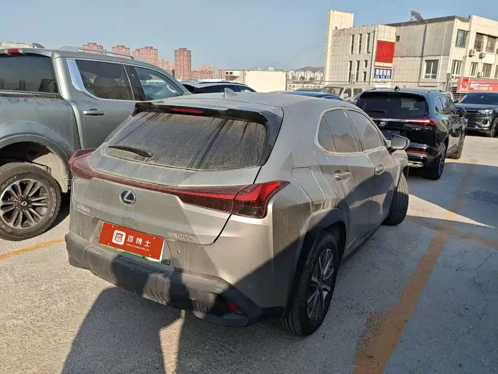Lexus UX New Energy 2021 из CN, фото 3