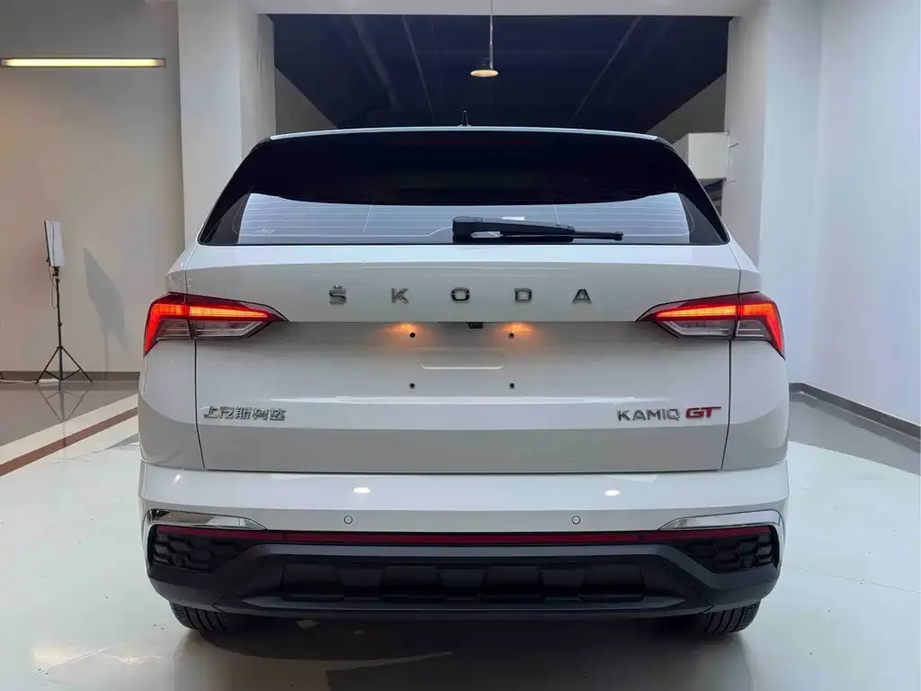 Skoda Kamiq 2023 из CN, фото 5