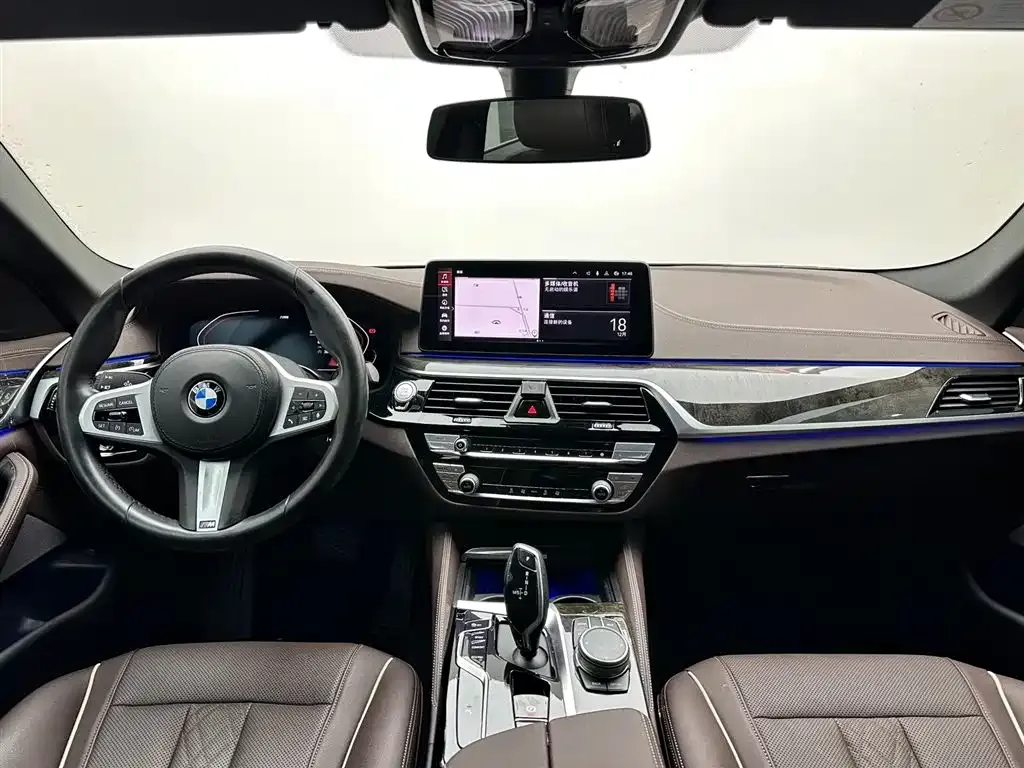 BMW 5 Series 2021 из CN, фото 10