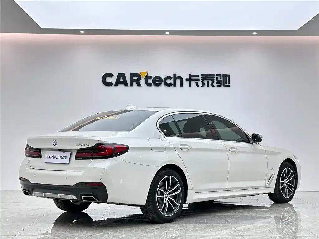 BMW 5 Series 2021 из CN, фото 6