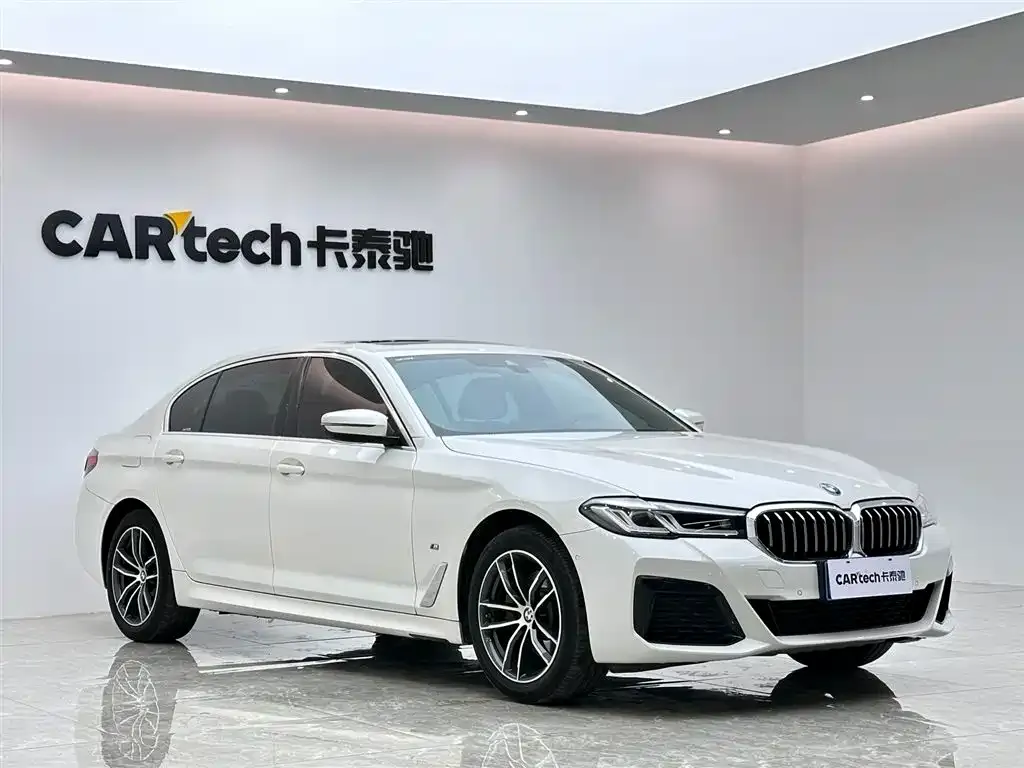 BMW 5 Series 2021 из CN, фото 5