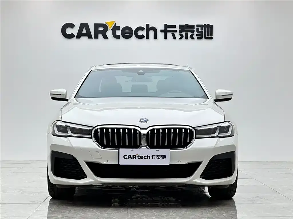 BMW 5 Series 2021 из CN, фото 8