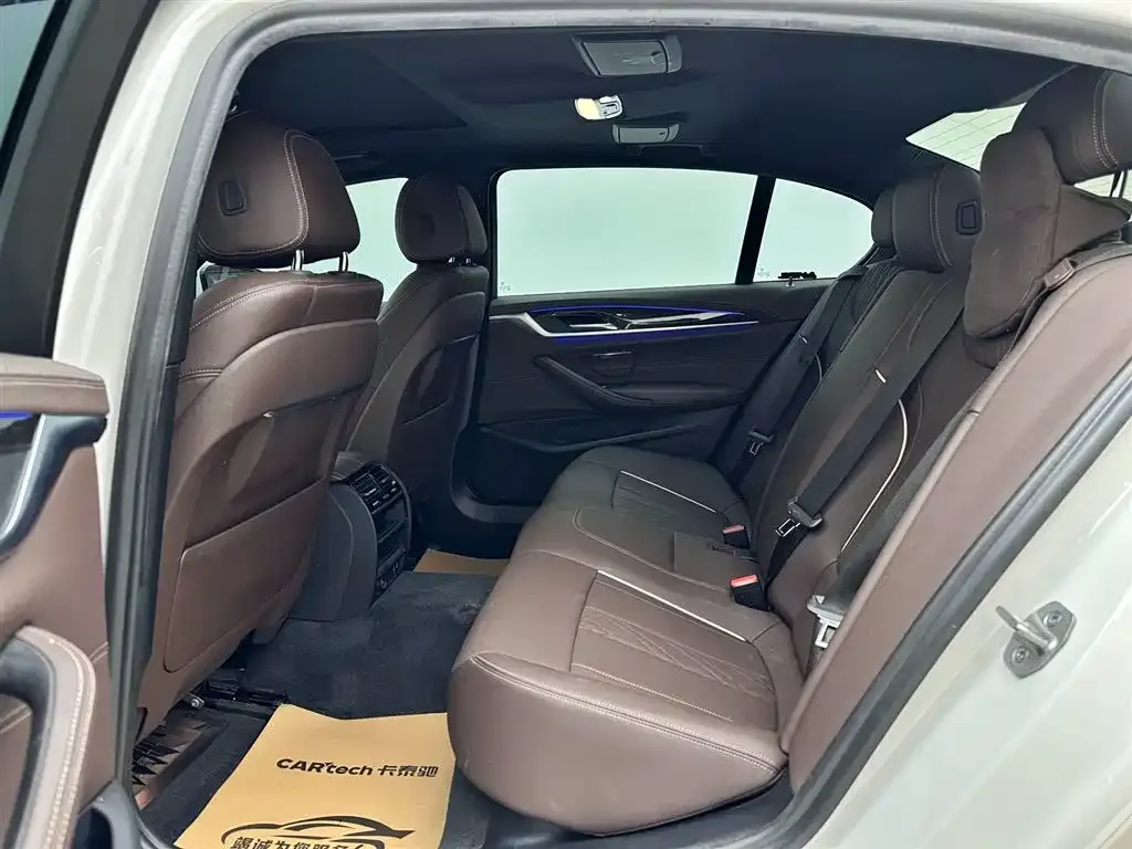 BMW 5 Series 2021 из CN, фото 9