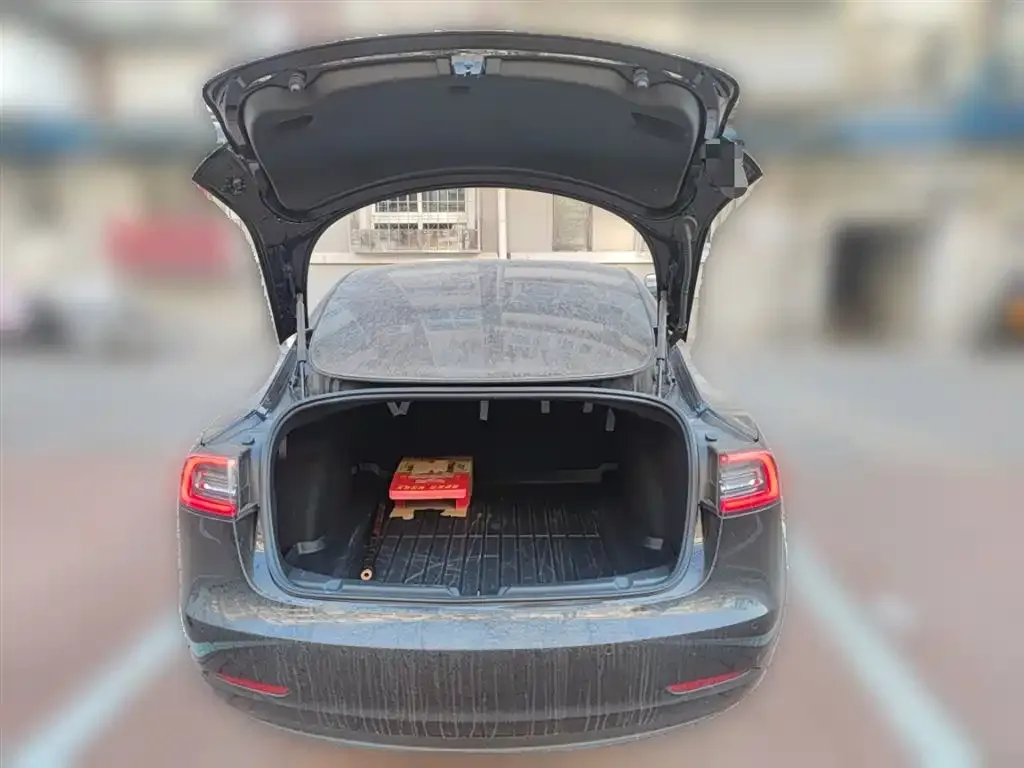 Tesla Model 3 2021 из CN, фото 6