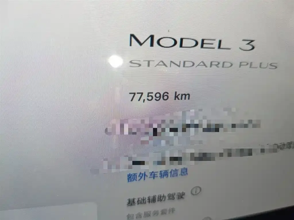 Tesla Model 3 2021 из CN, фото 7