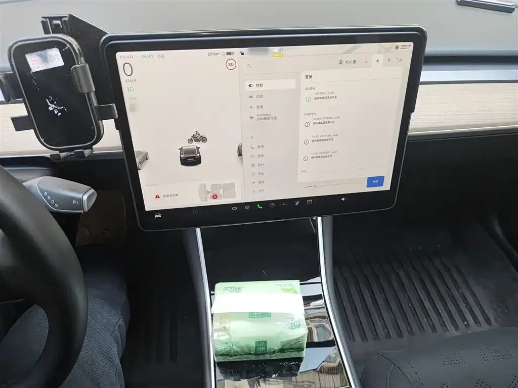 Tesla Model 3 2021 из CN, фото 5