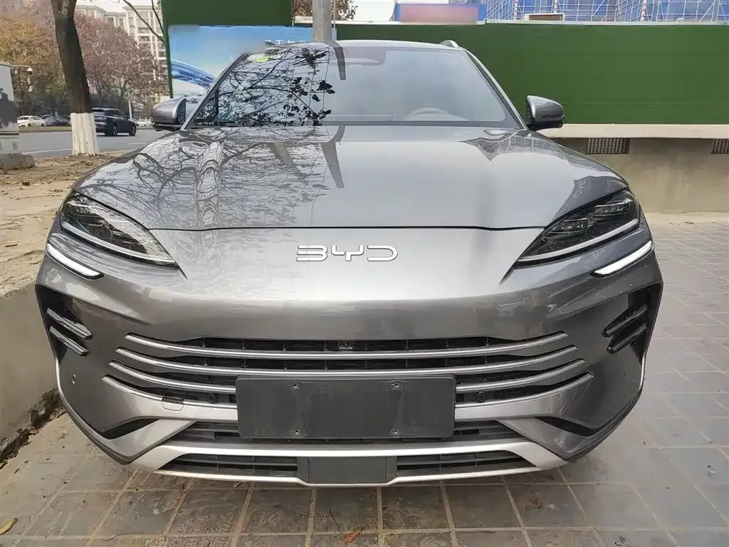 BYD PLUS New Energy 2025 из CN, фото 3